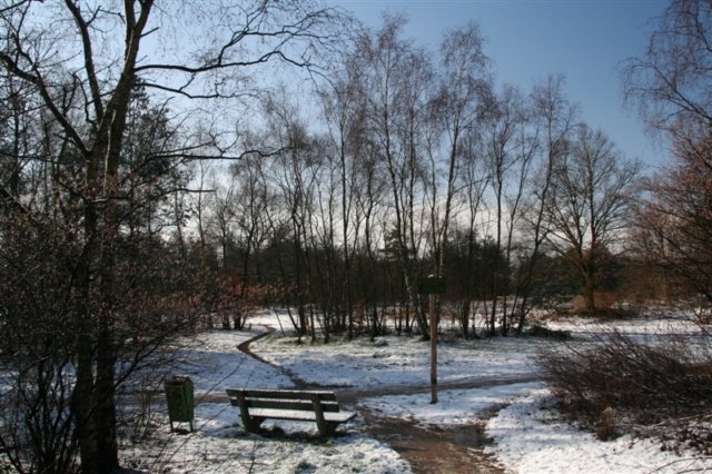 foto02.jpg