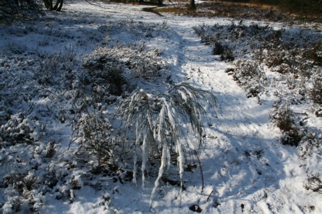 foto04.jpg