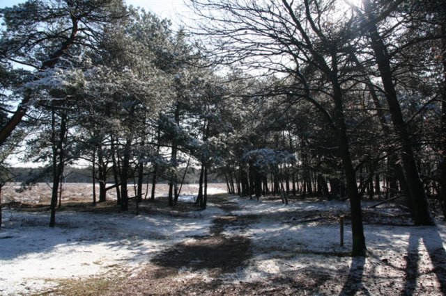 foto07.jpg