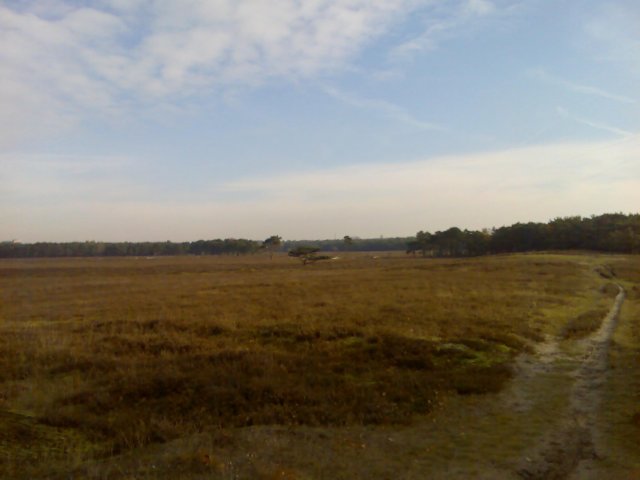 foto13.jpg