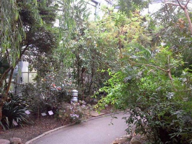 foto0849.jpg