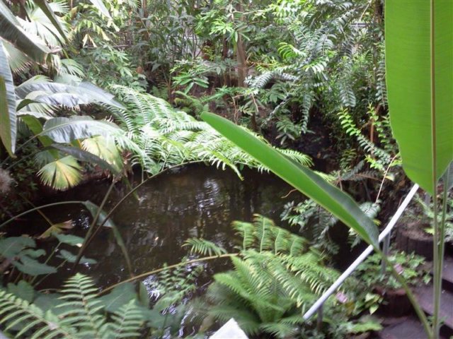 foto0868.jpg