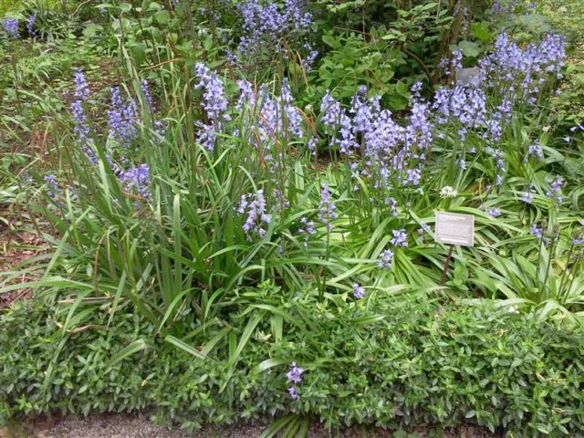 foto0872.jpg